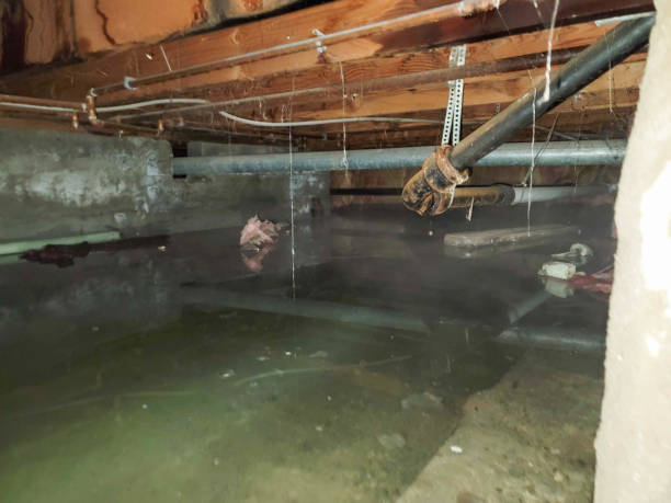 Best Commercial water damage restoration  in Smithville, TN