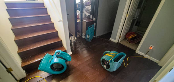 Best Carpet water damage restoration  in Smithville, TN