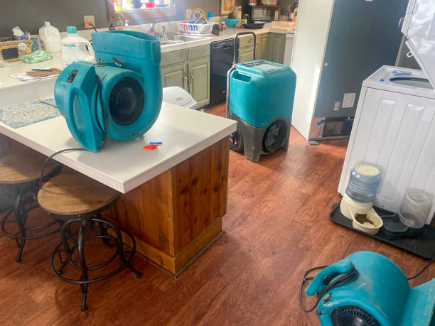 Best Flood damage cleanup  in Smithville, TN
