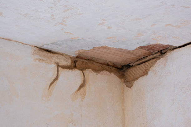 Best Ceiling water damage repair  in Smithville, TN
