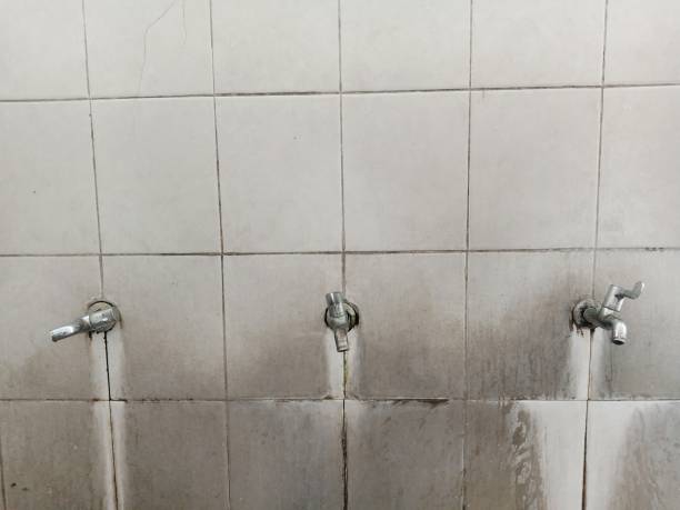Best Water damage restoration near me  in Smithville, TN