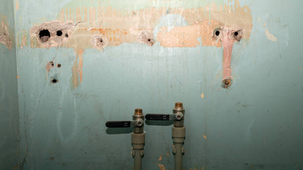 Best Water damage restoration near me  in Smithville, TN